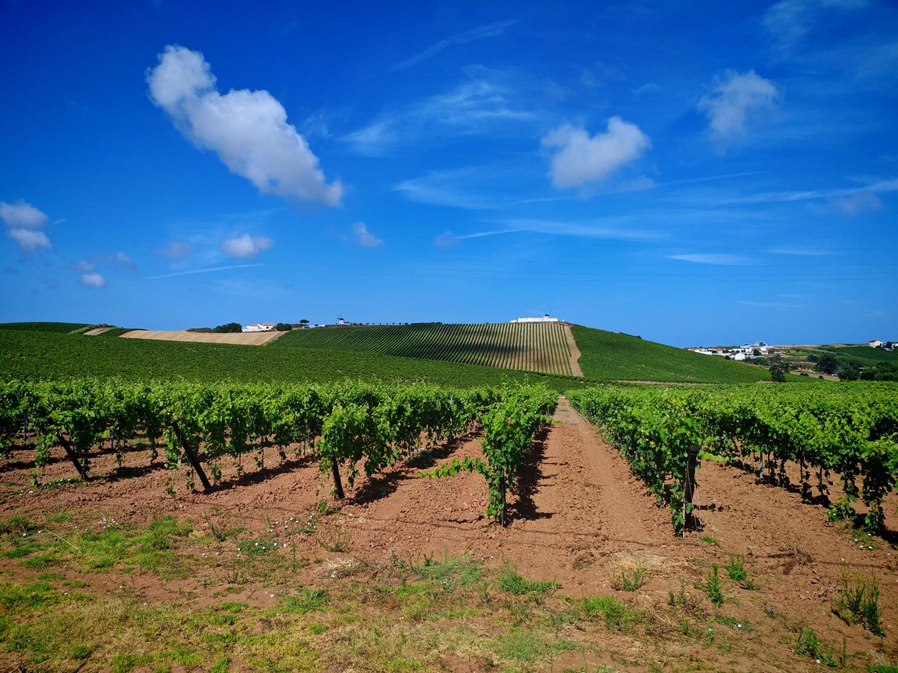 On the road: Lourinha – Sao Pedro da Cadeira via Lourinhã