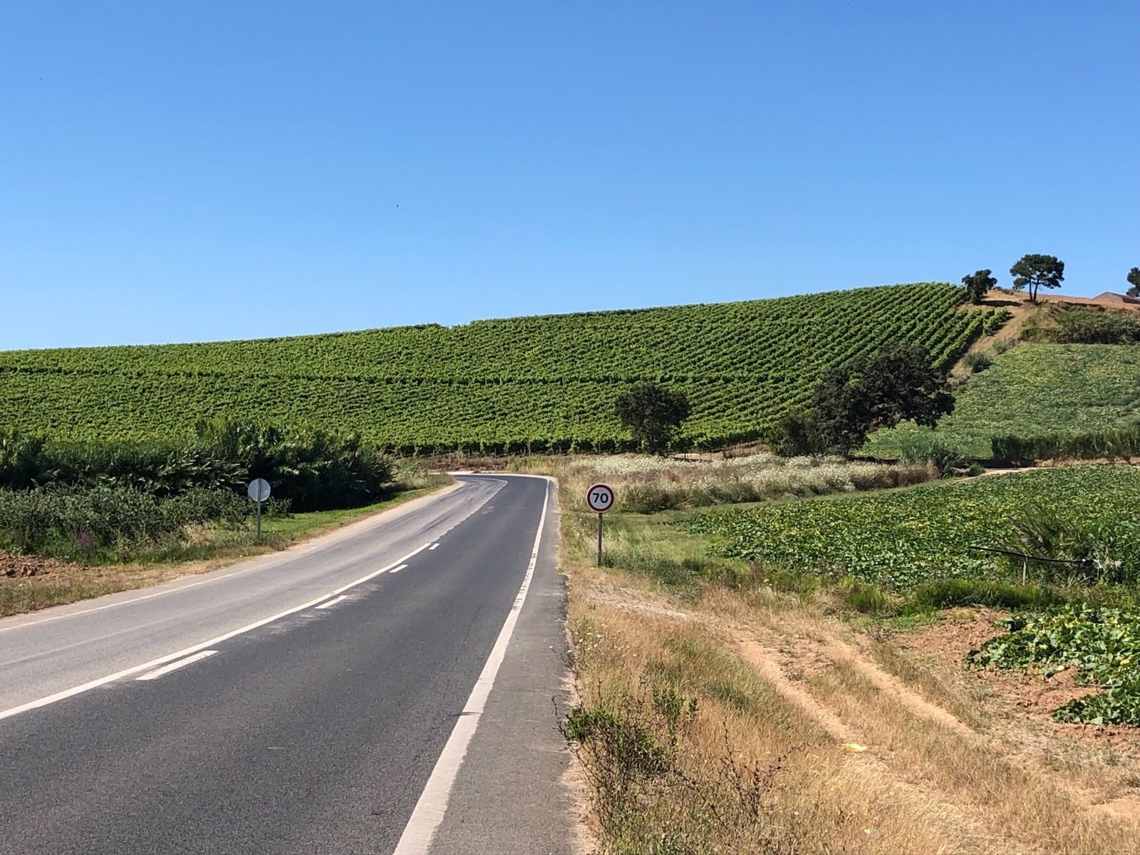 On the road: Atouguia da Baleia – Lourinha via São Bartolomeu Dos Galegos