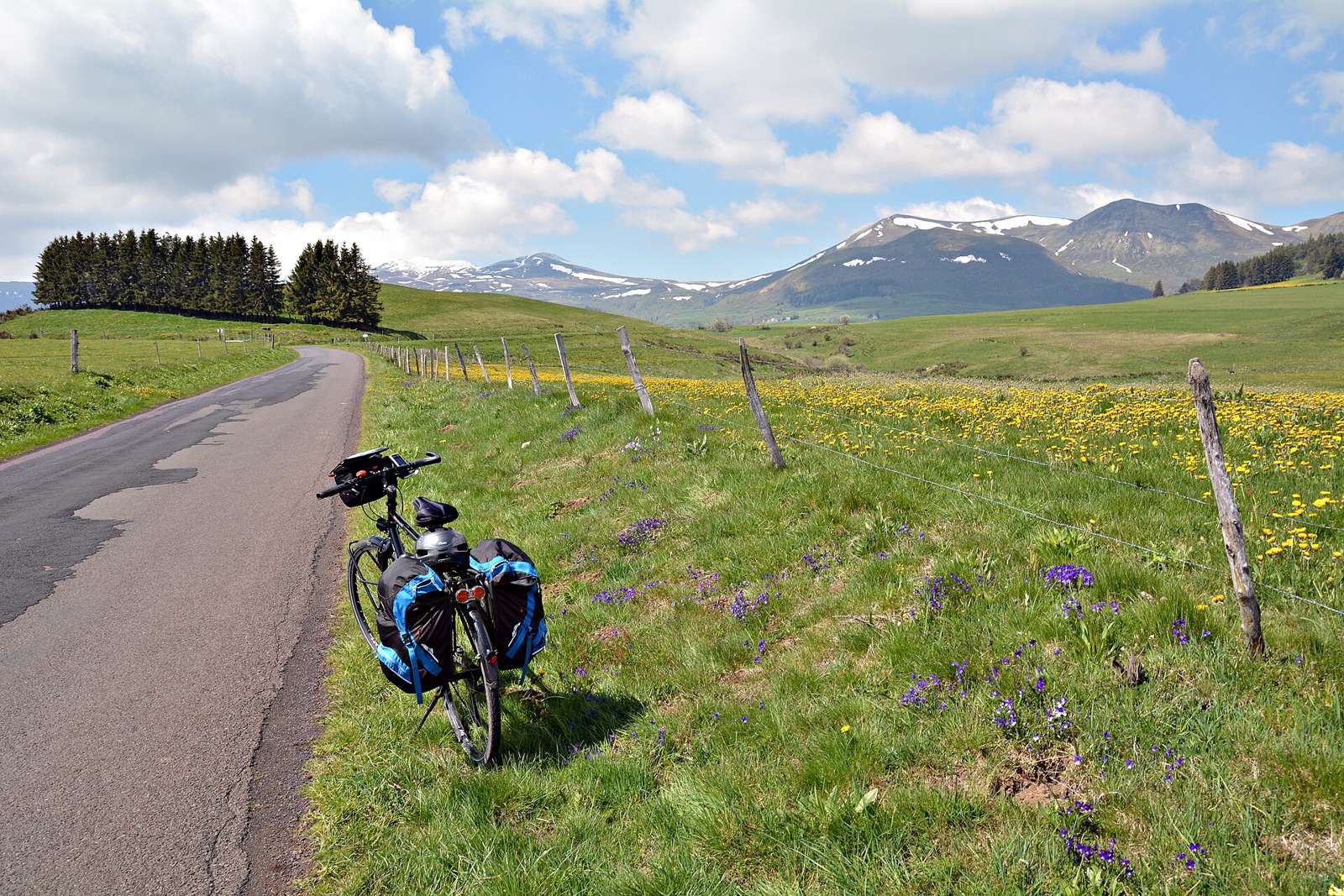 East side of the road of the col de la Croix Morand near Beaune le Froid, Puy de Dome, Auvergne, France