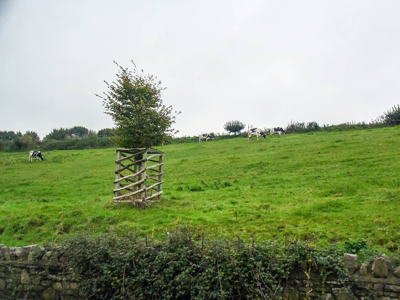 On the road: Corston – Biddestone
