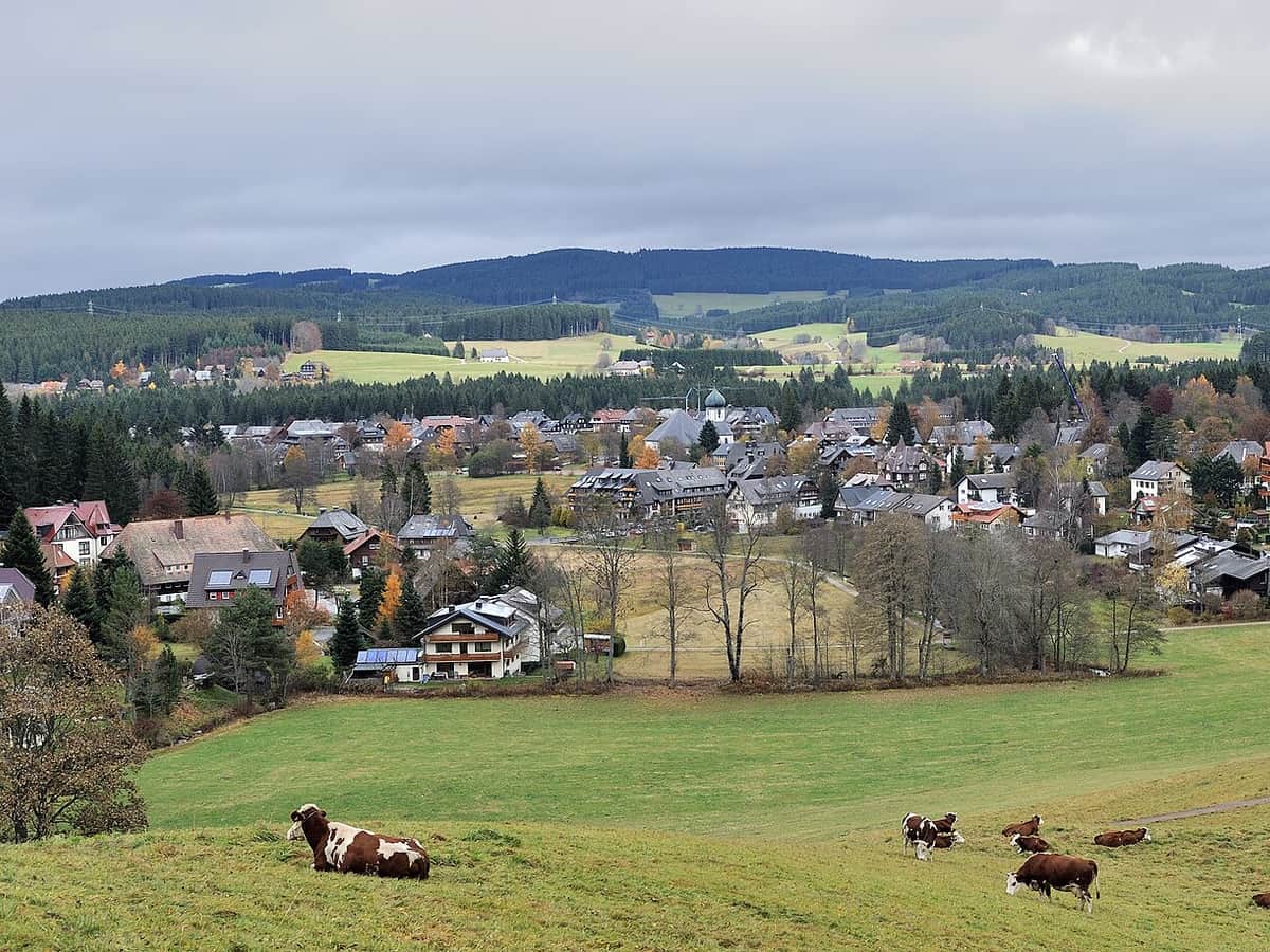 Cycling in Hinterzarten