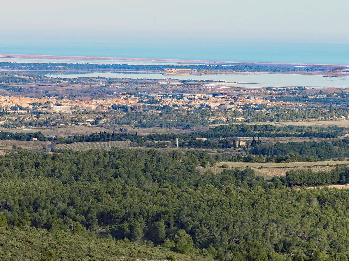 Cycling in Sigean