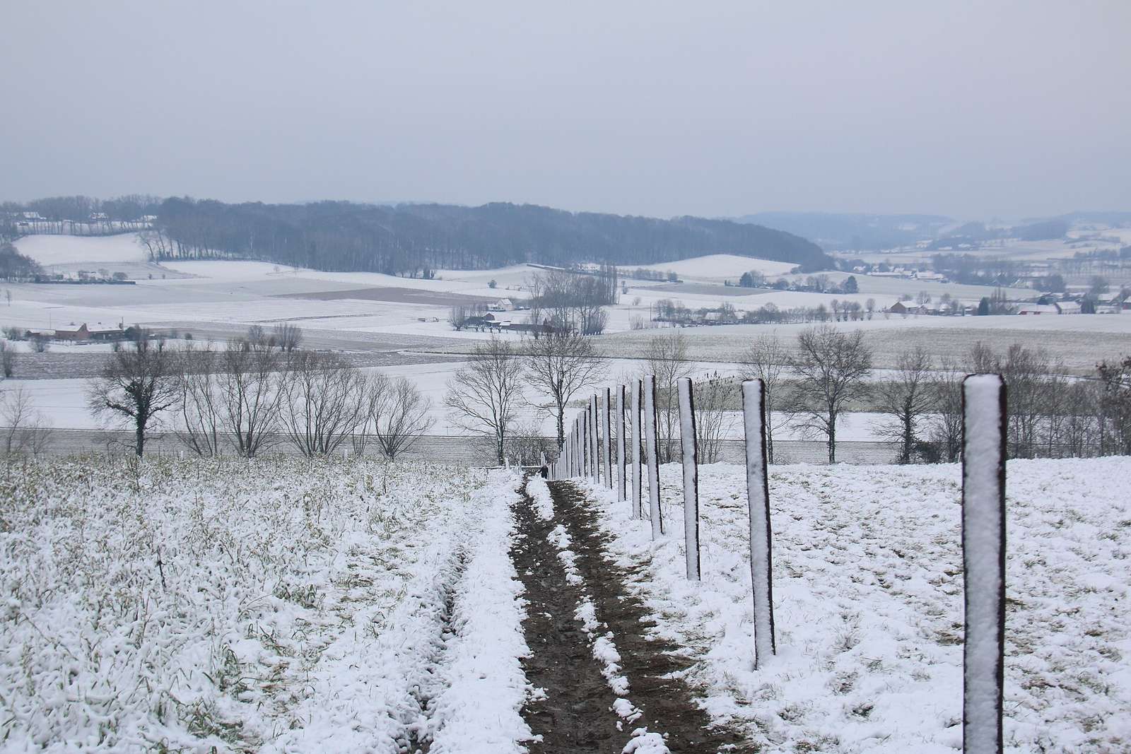On the road: Koppenberg from Melden