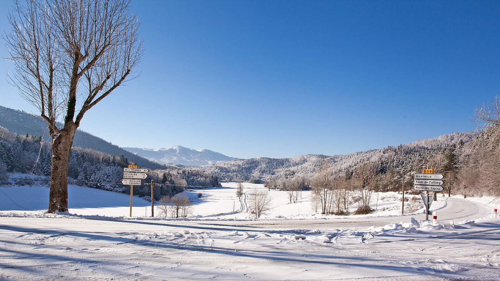 On the road: Col de Coudons from Quillan