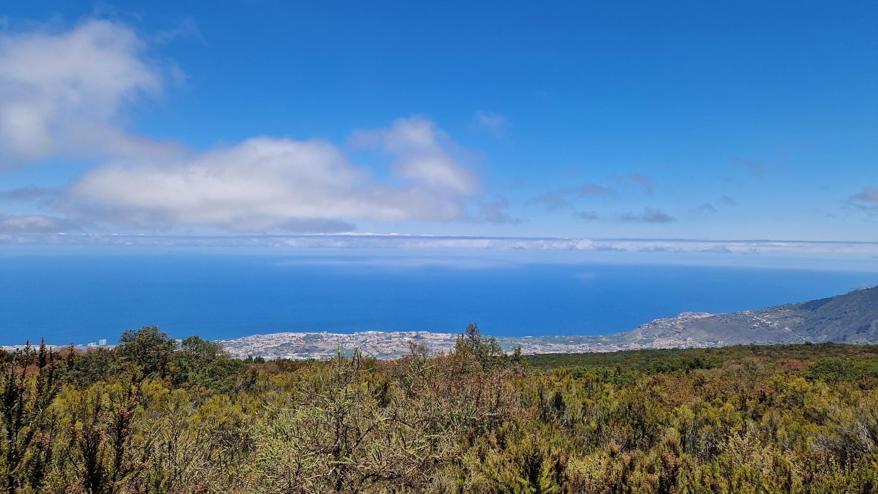 Cycling in Santiago del Teide