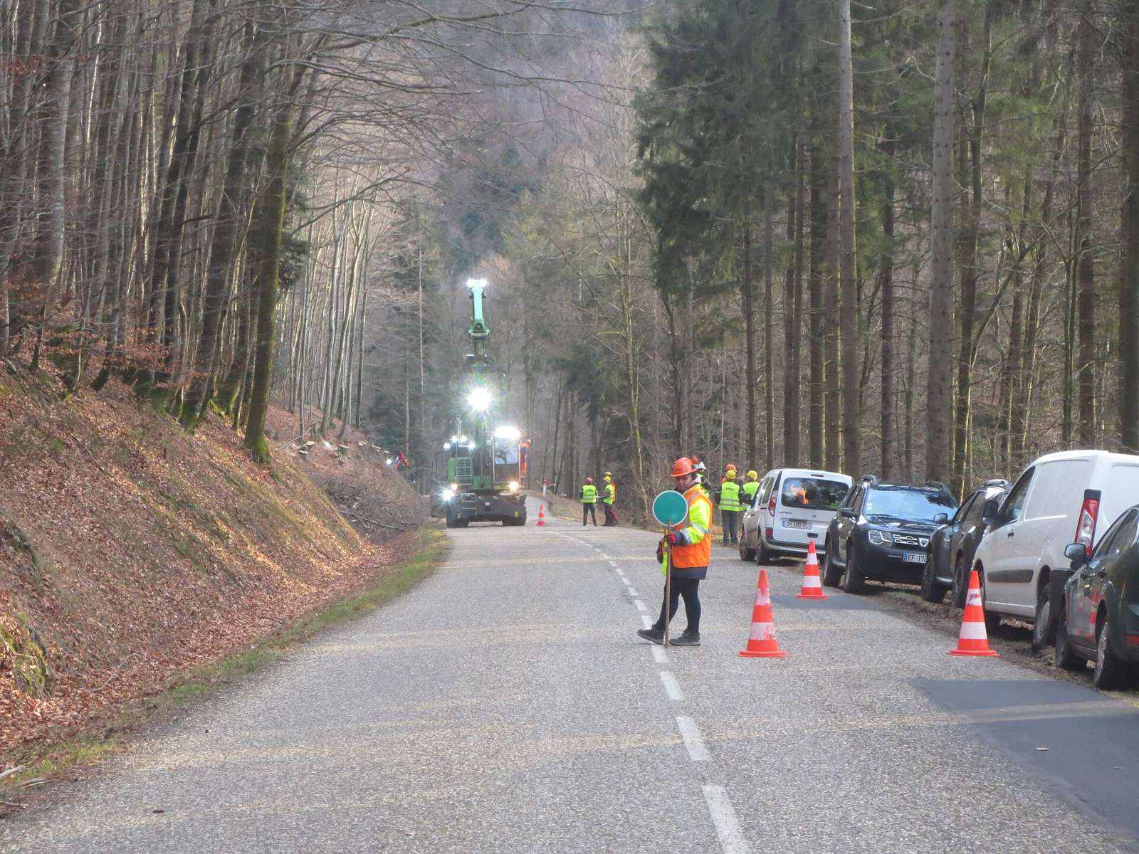 Chantier de débardage dans le col du Donon