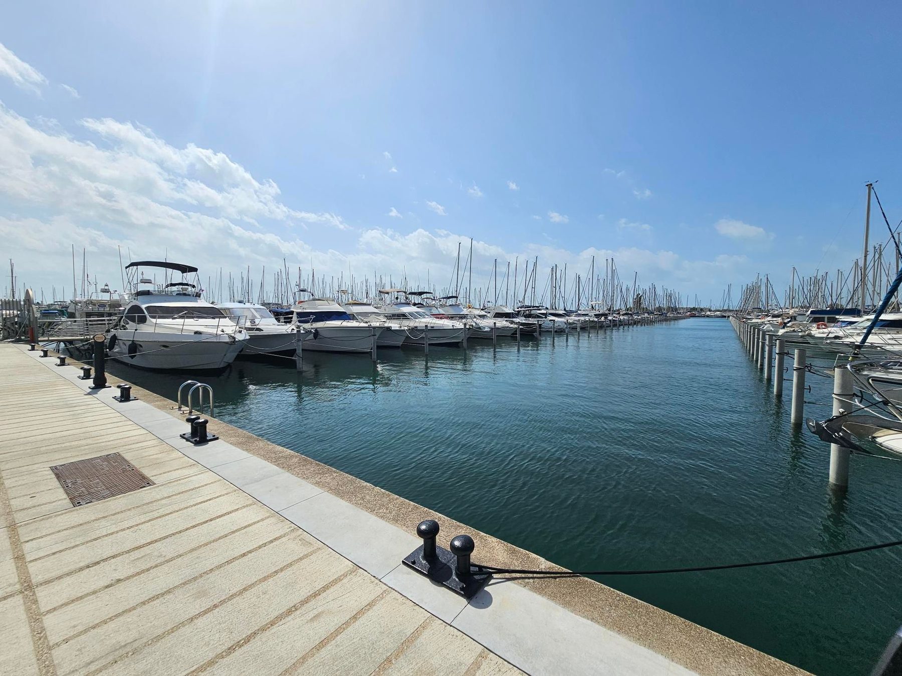On the road: Sète to Aimargues through the Camargue