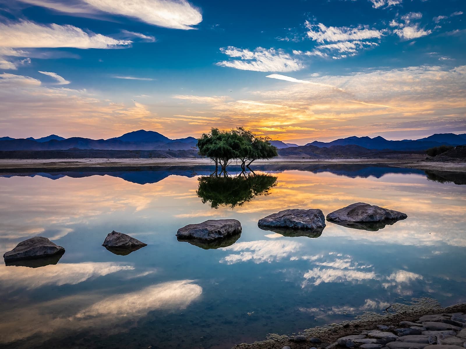 On the road: Coast to Coast: Sharjah to Al Aqah