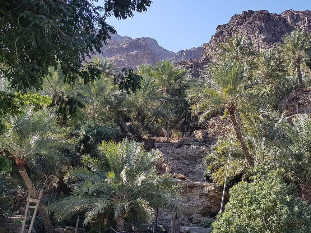 On the road: Sharjah to Al Fujayrah