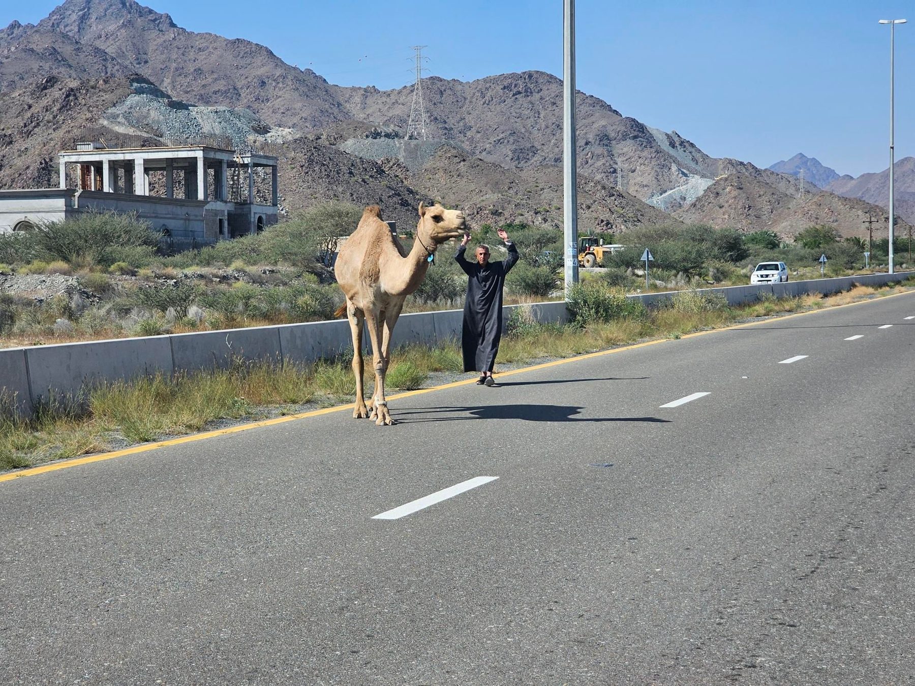 On the road: Showka – Shinas loop 142