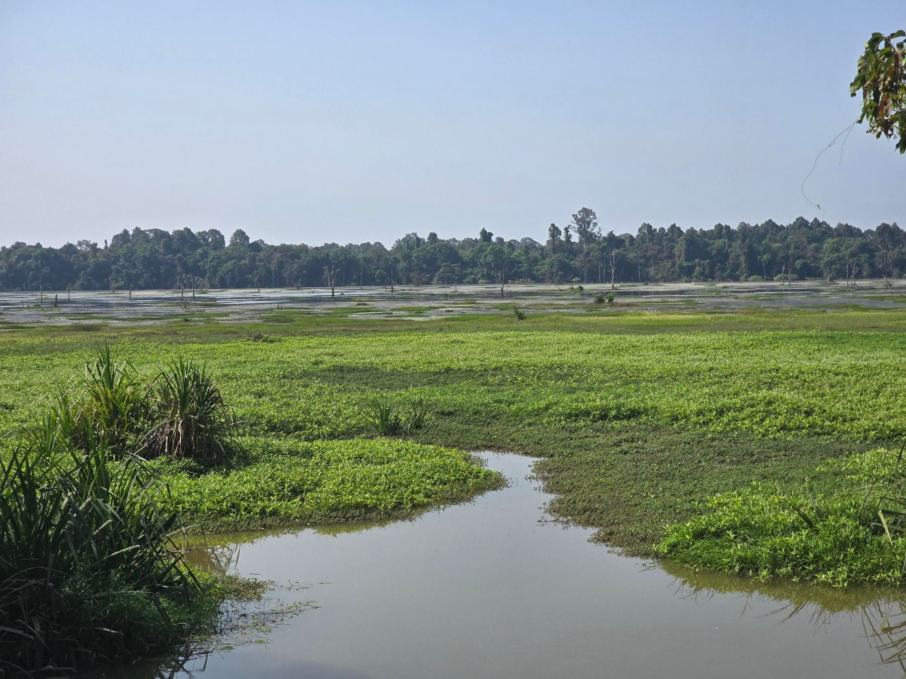 On the road: Angkor Wat heritage park loop