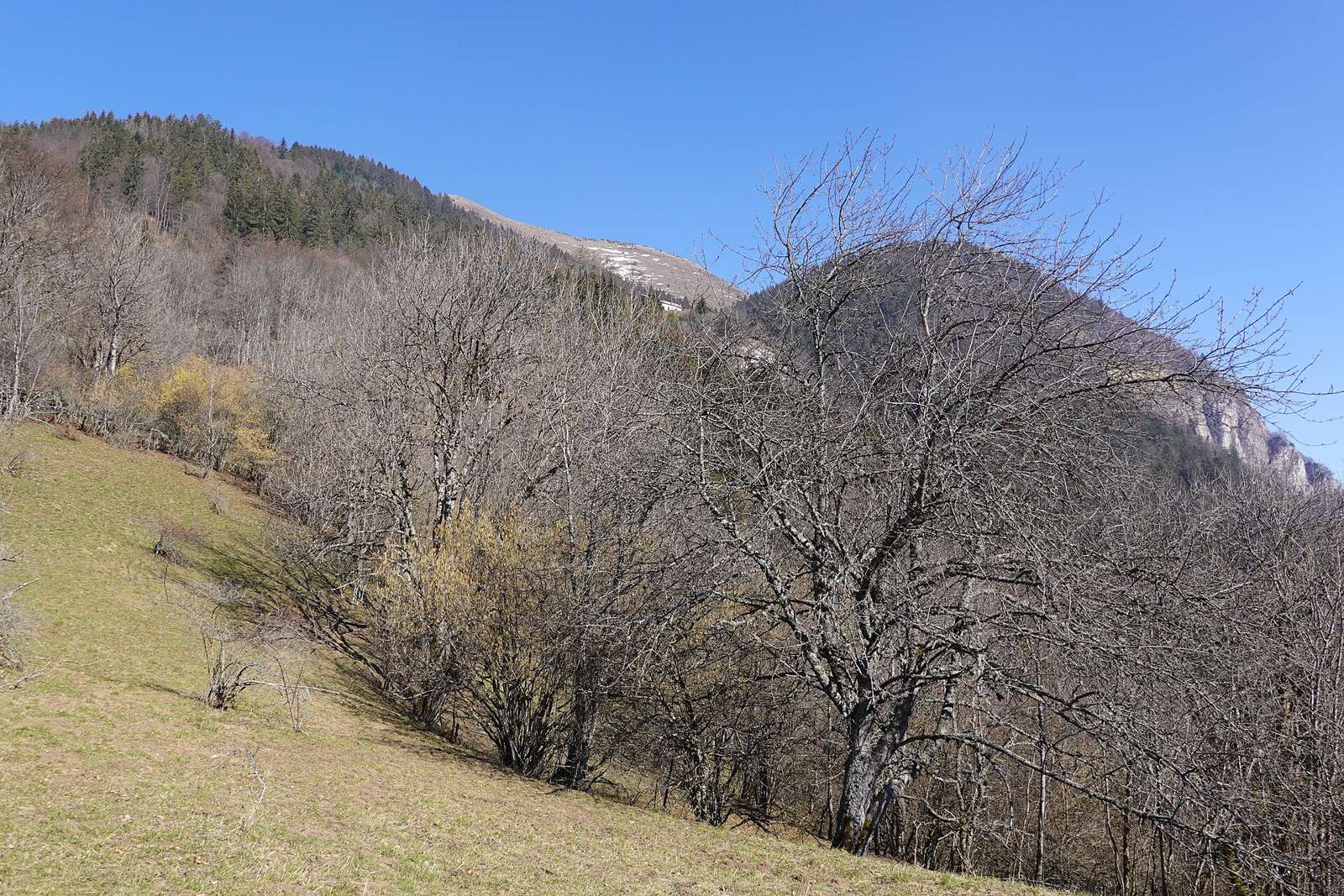 Col du Pertus