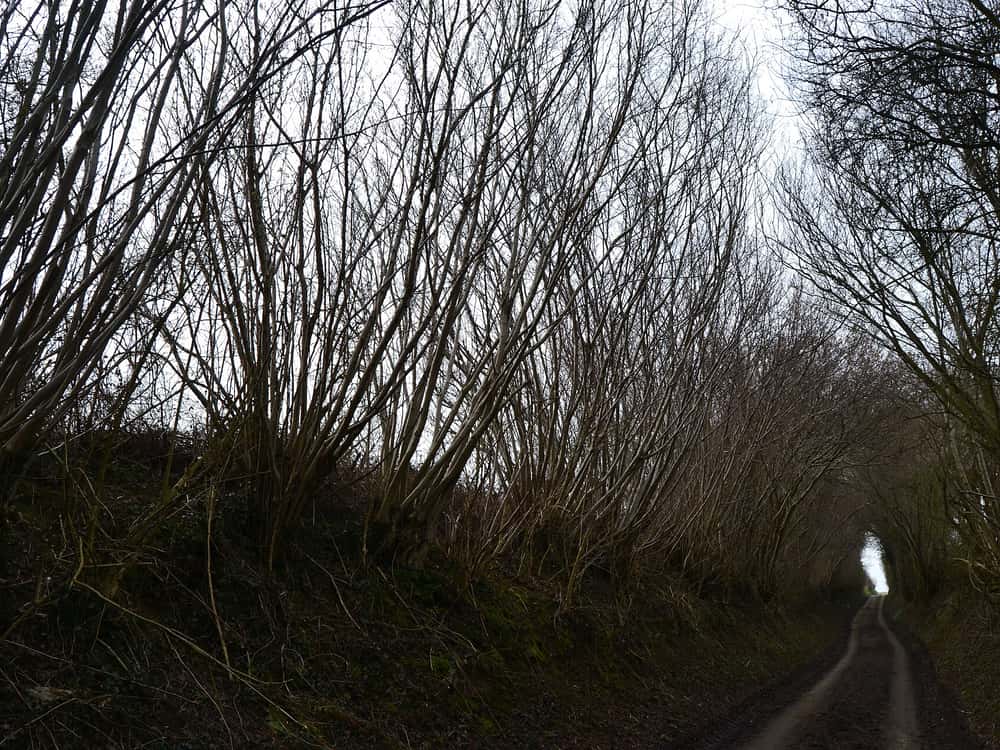 On the road: Waterloo to Anderlues