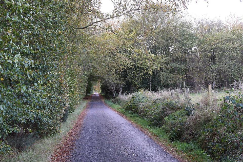 On the road: Deeside Way
