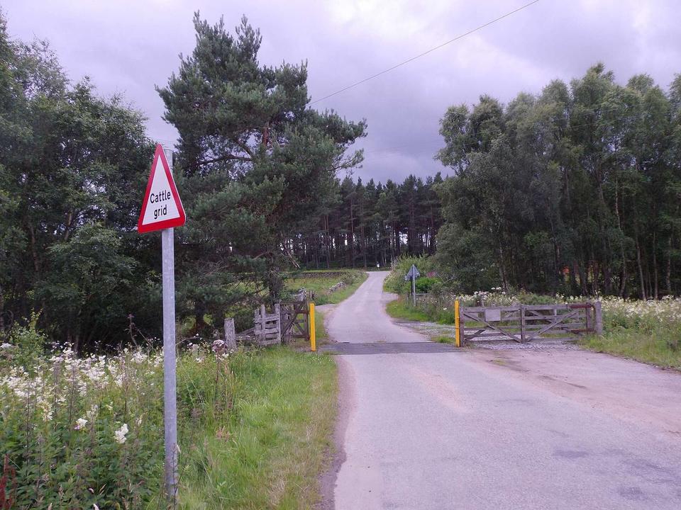 Cattle grid on a minor road