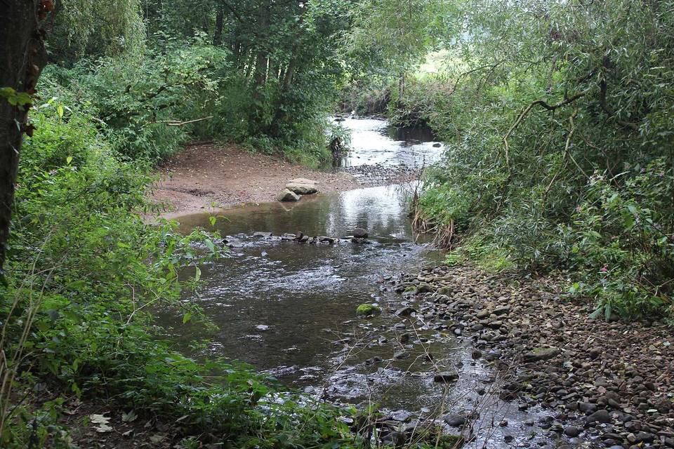 Berthin Brook