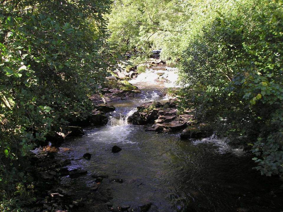 Afon Cilieni
