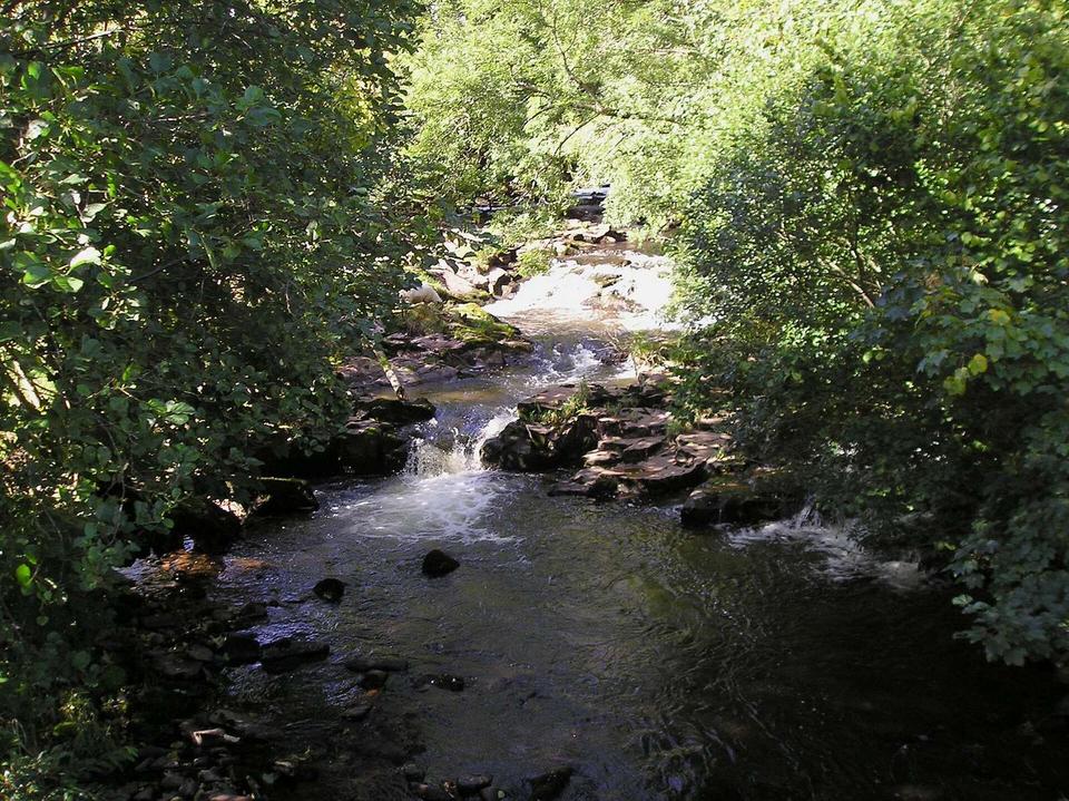 Afon Cilieni