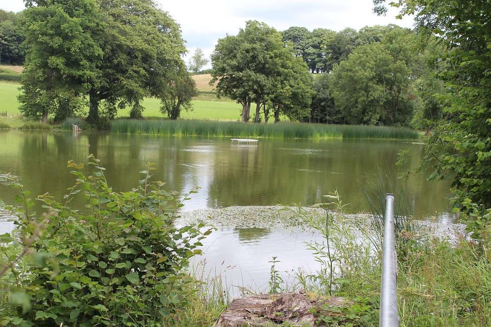Ty Mawr Pool, Llanfrynach