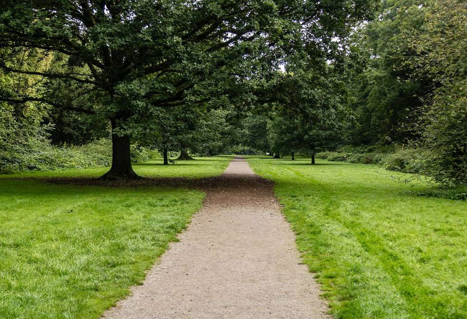 Marbury Country Park