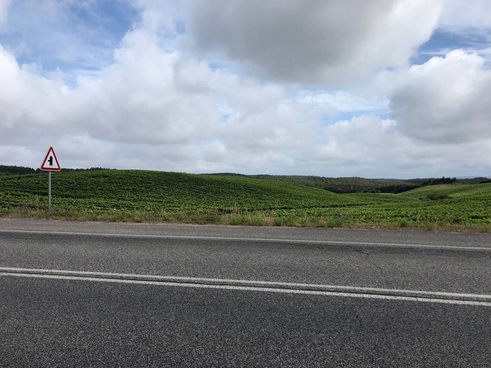 On the road: Atouguia da Baleia – Alcoentre via Campelos
