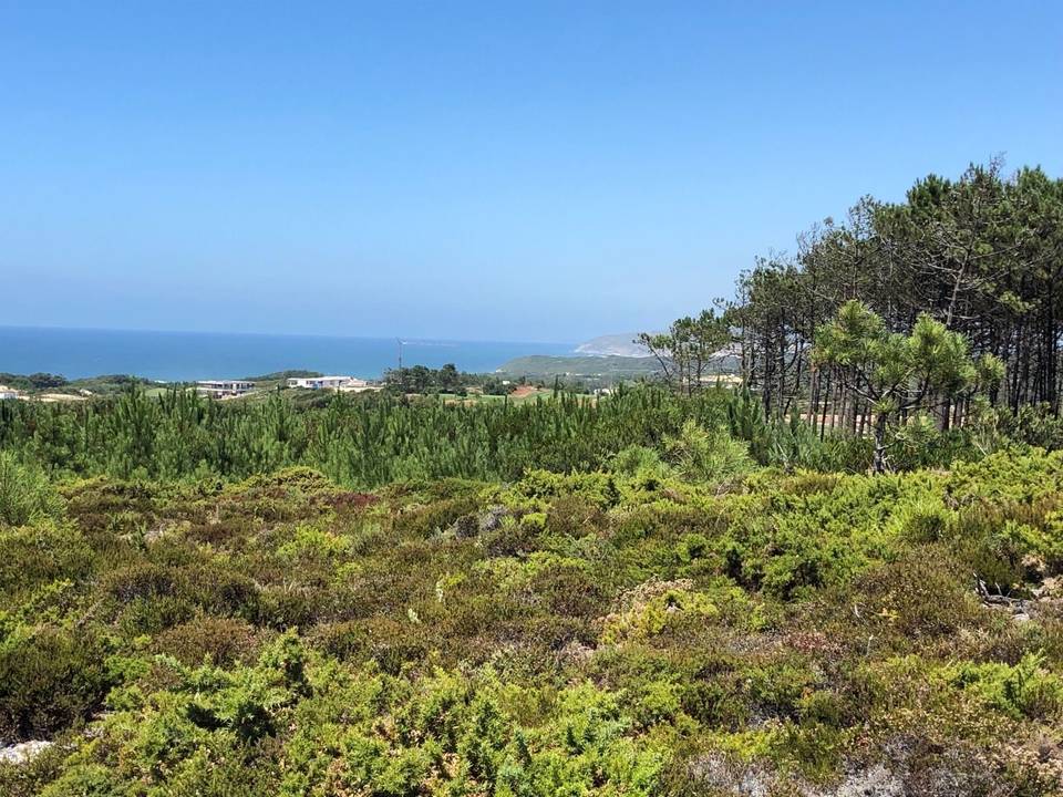 On the road: Atouguia da Baleia – Rio Maior