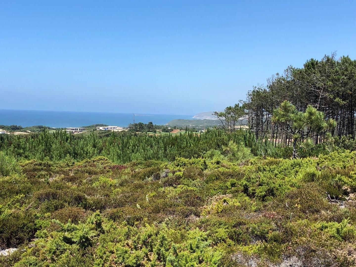 On the road: Atouguia da Baleia – Rio Maior, Atouguia da Baleia