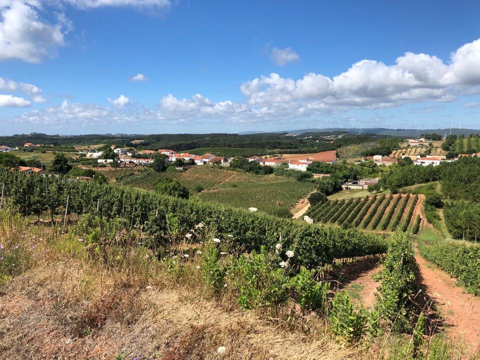 On the road: Atouguia da Baleia – Obidos