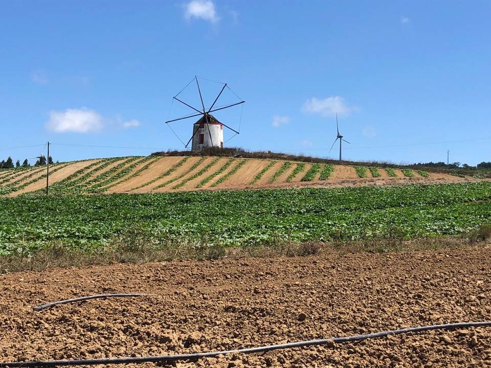 On the road: Atouguia da Baleia – Torres Vedras via Reguengo Grande