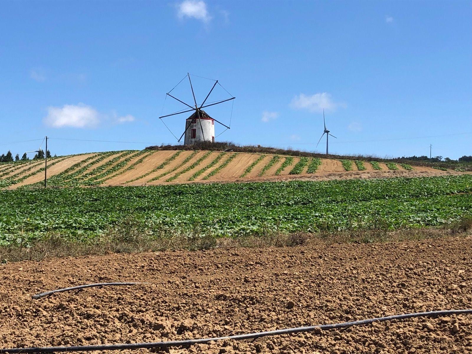 On the road: Atouguia da Baleia – Torres Vedras via Reguengo Grande