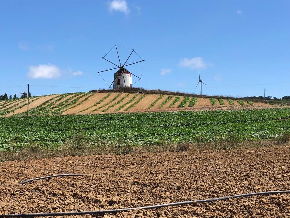 On the road: Atouguia da Baleia – Torres Vedras via Reguengo Grande