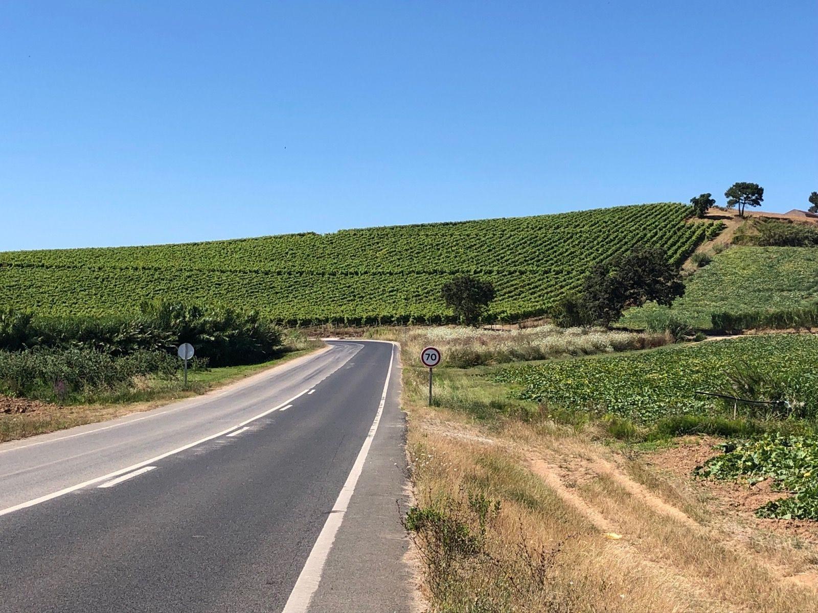 On the road: Atouguia da Baleia – Lourinha via São Bartolomeu Dos Galegos