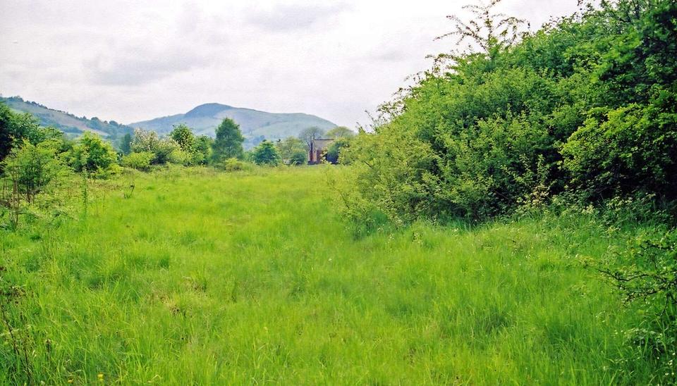 Site of former Llandderfel station. View NE down the Upper Dee valley, towards Corwen, Llangollen and Ruabon on the trackbed of the ex-GWR Ruabon - Llangollen - Bala Junction - Dolgellau - Morfa Mawdd