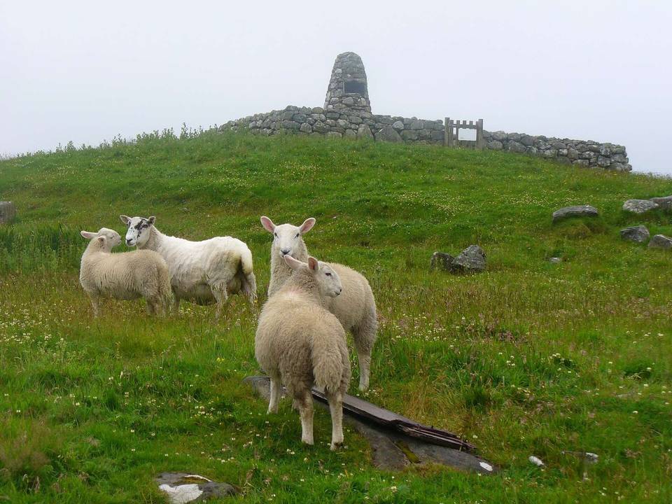 Sheep Grazing at Milton
