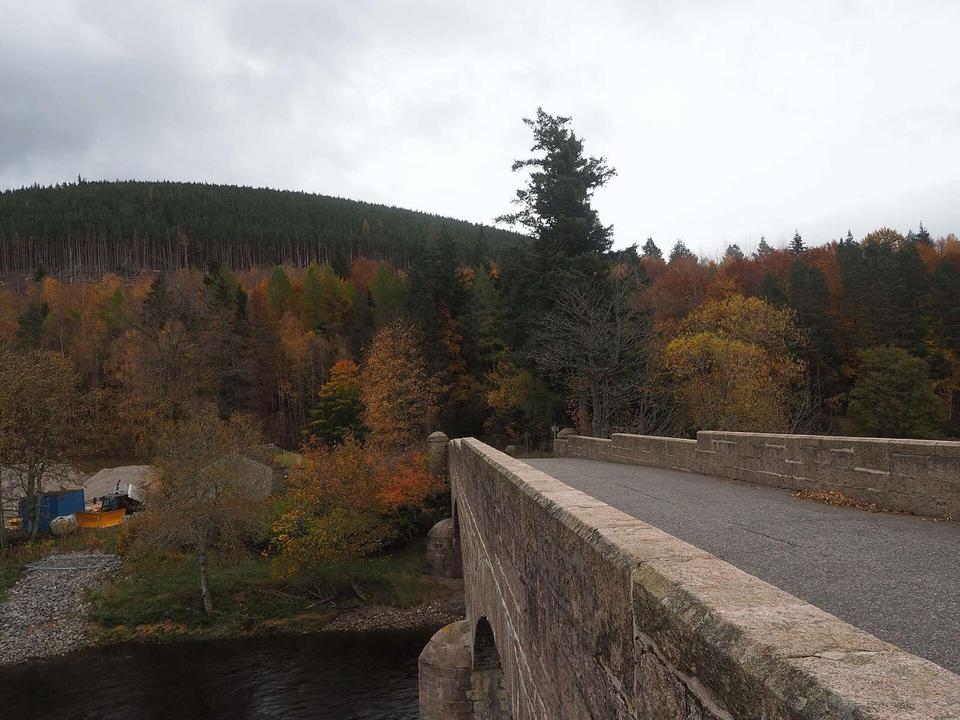 Pannanich woods from Ballater Bridge