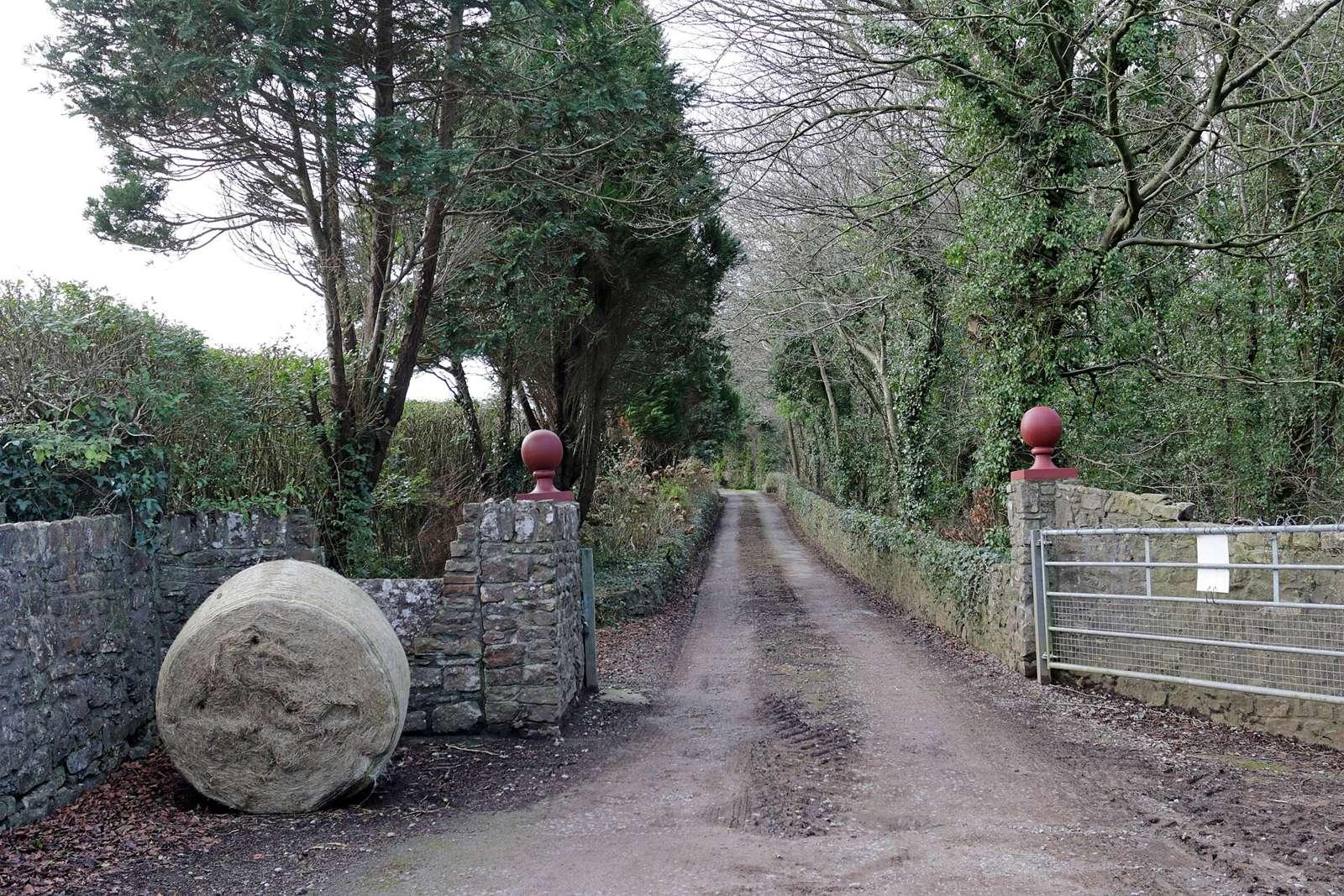 Bale of Hay