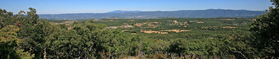 view from the hight of Sivergues (France) to the north-west over the plateau de claparèdes (first plan after the trees), the « Monts de Vaucluse » including the « signal de Saint-Pierre » (1 256 m), a