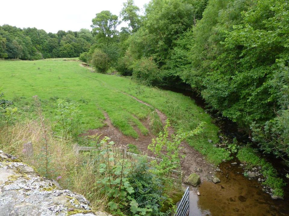 Willow Burn