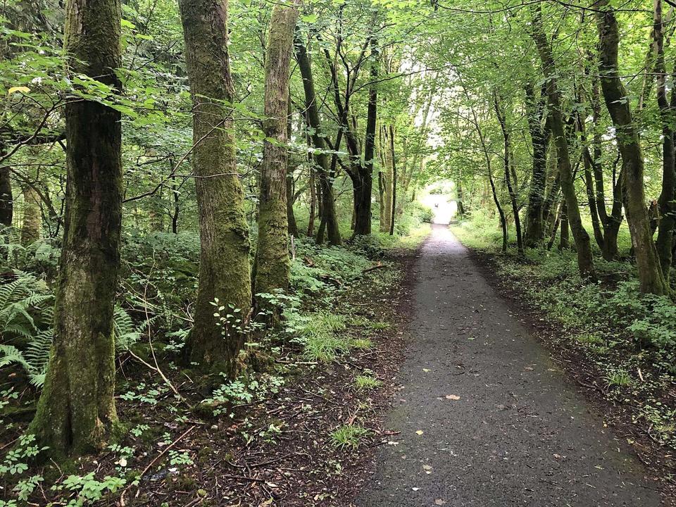 Blane Valley Railway trackbed