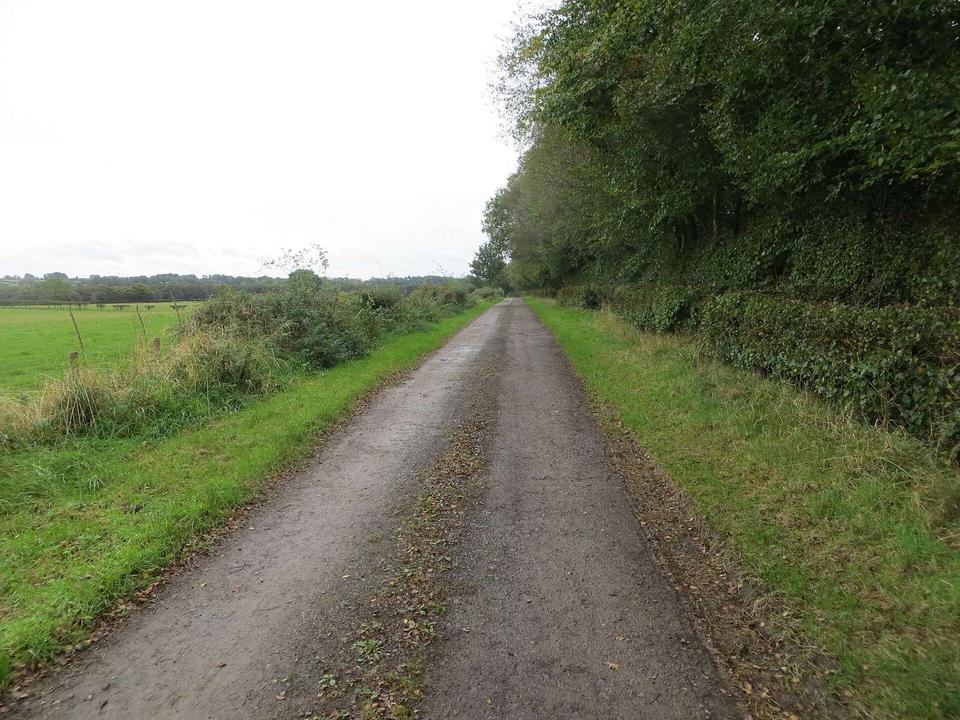 Track giving access to Dalebank