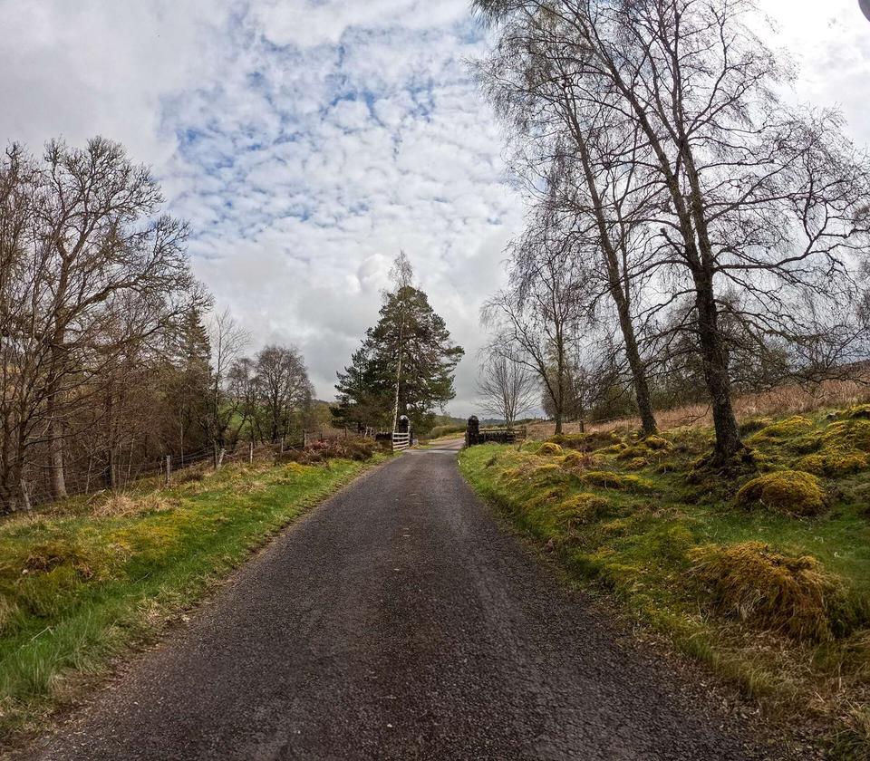 Asphalt Service Road