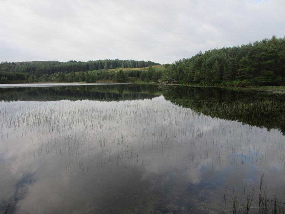 Dowally Loch