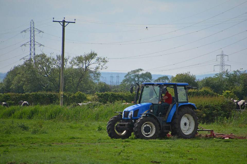 Newport District : Grassy Field &amp; Tractor