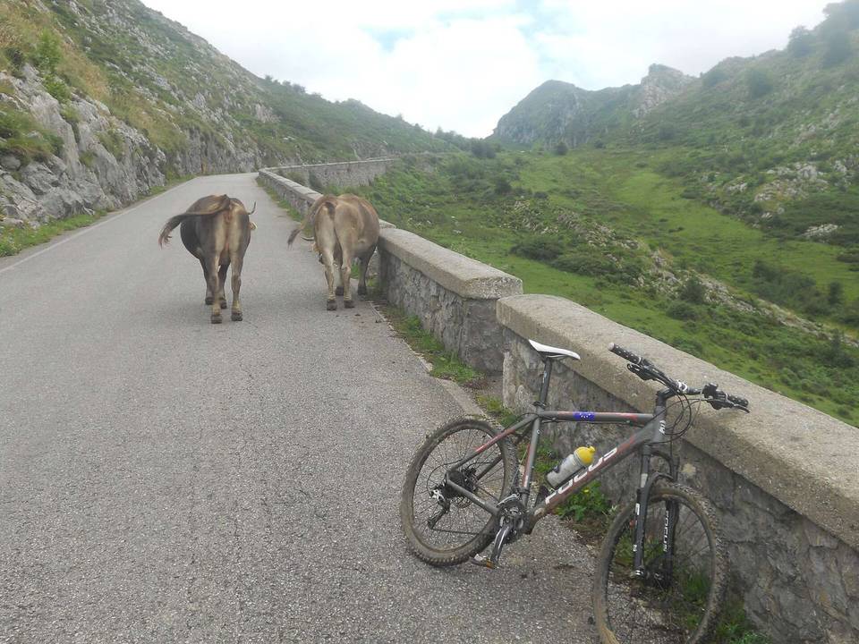 BTT por la Güesera , en la carretera de los Lagos de Covadonga.
