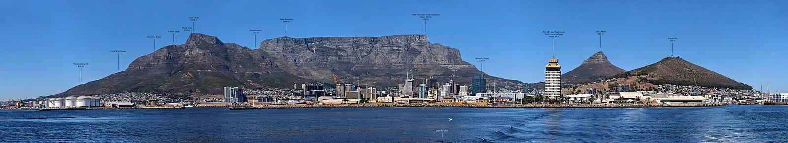 Cape Town, South Africa. In the background, Table Mountain and other peaks surrounding the city are highlighted. In addition, some buildings are marked, as well as a Cape fur seal accidentally capture