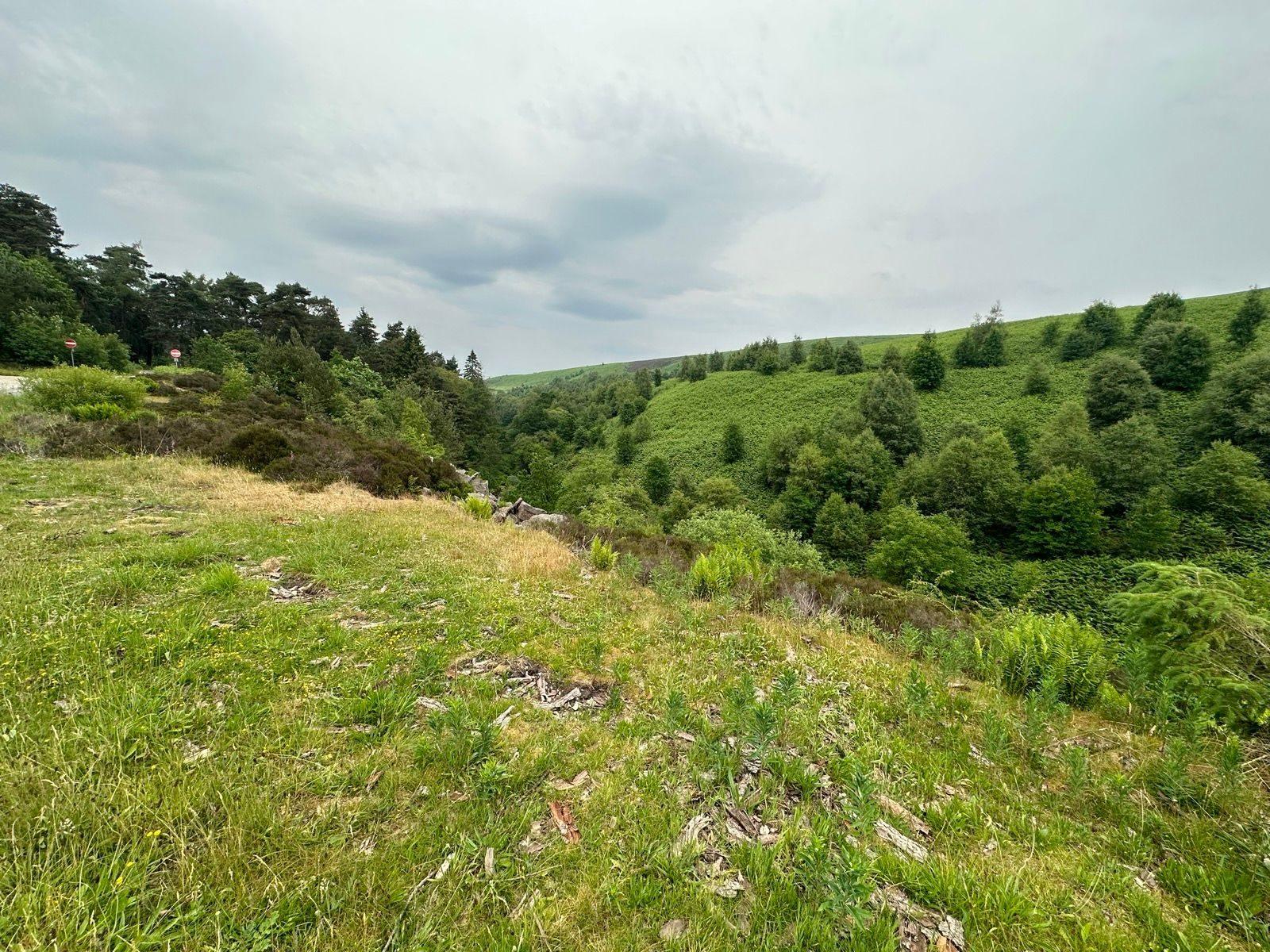 Comberbach climb climb
