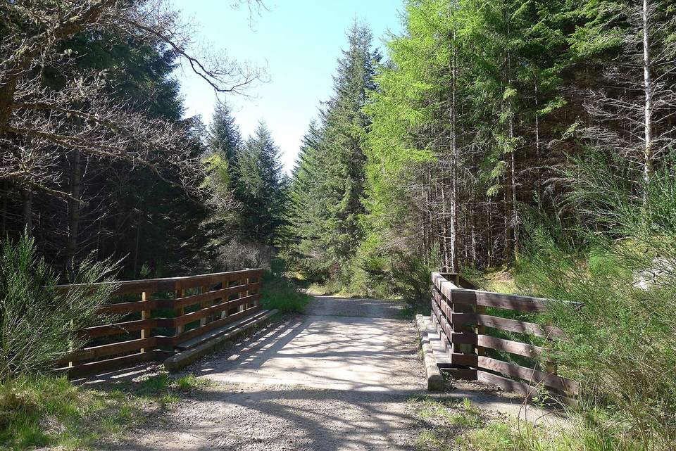The Great Glen Way crossing Allt 'a Bhrochain