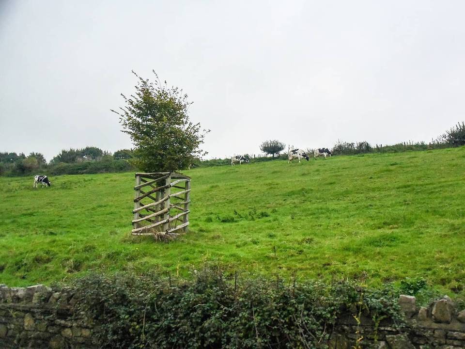 Cycling in Corston
