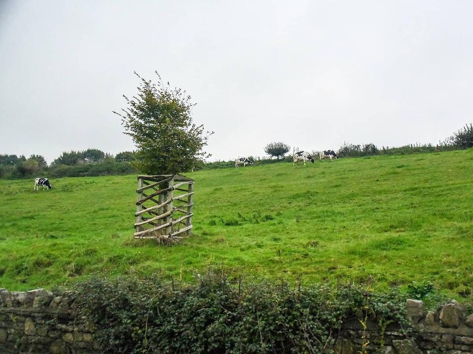 Cycling in Corston