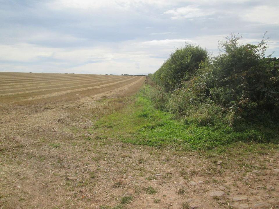 On the road: 4 Abbeys Cycleway